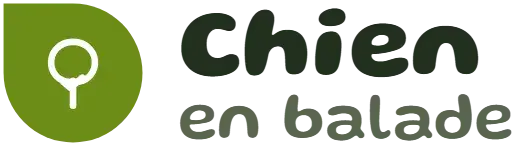 Chien en balade
